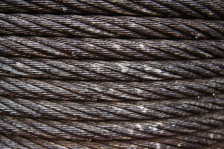 Donald Trump elhalasztotta a védővámok bevezetéséről szóló döntést