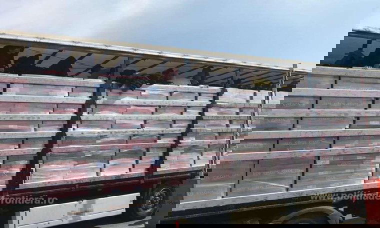 Több mint harminc migránst találtak egy kamionban a magyar és a román határőrök