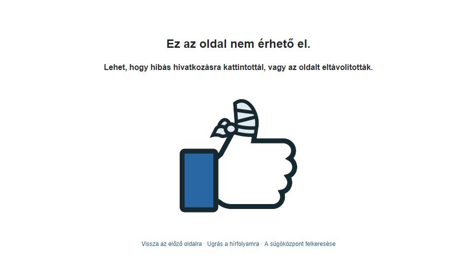 A párt nagyszebeni elnöke szerint megengedhetetlen, hogy a közösségi oldal befolyásolja a választásokat 