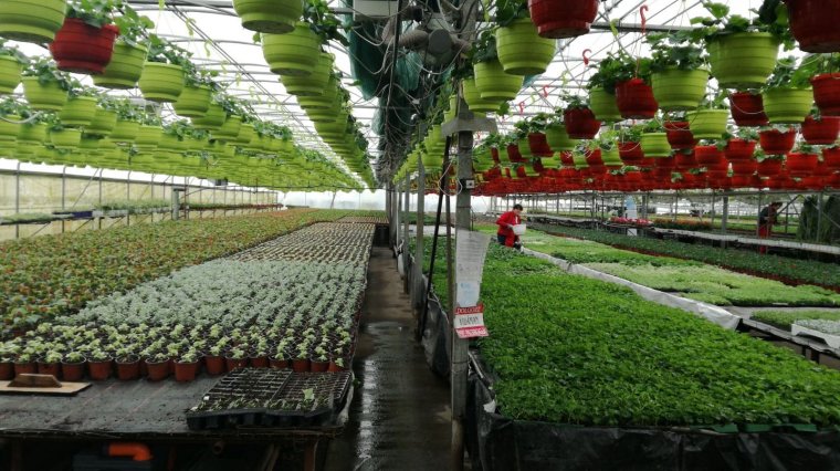 Mezőségi fejlesztési minta a Székelyföldnek: kiterjesztik a magyar kormány erdélyi gazdaságélénkítő stratégiáját