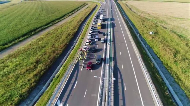 Három nap alatt a második medvét gázolták el az autópályán