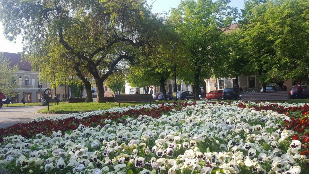 •  Fotó: Bistriteanul.ro