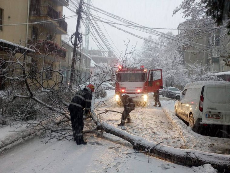 Fa dőlt egy közlekedő gépkocsira – több tucat település maradt áram nélkül