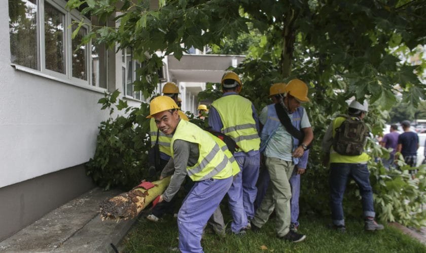 A romániai munkaerőhiányt csak átmeneti lehetőségként lehet kezelni az ázsiai vendégmunkásokkal. •  Fotó: Facebook/Romanian Chinese Business Club