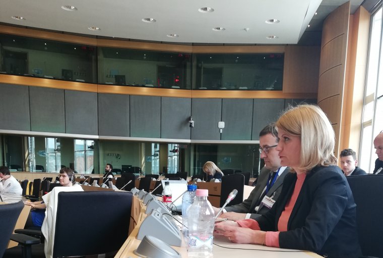 Összehangolt jogalkotást, kisebbségi keretprogramokat szorgalmazott Sándor Krisztina Brüsszelben