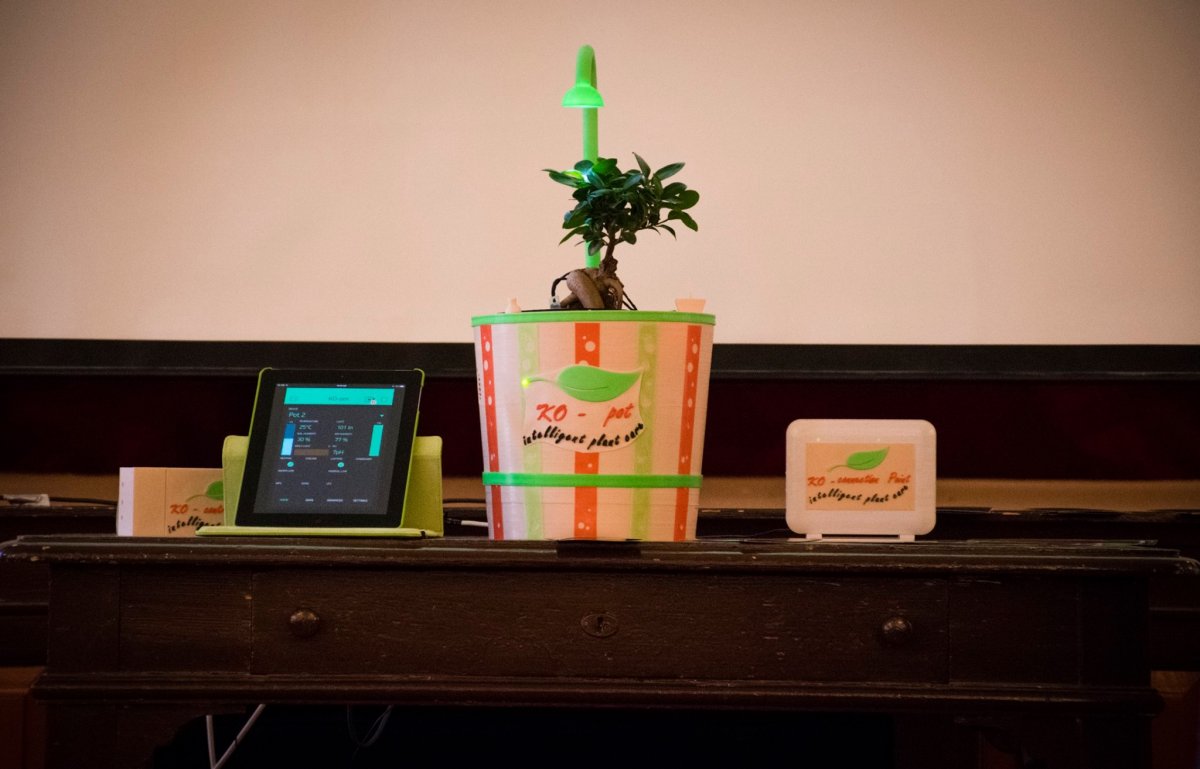 A szerkezet automatikusan generál magának vizet, és akár 6-12 hónapig is gondját viseli a növénynek •  Fotó: Fülöp Jenő