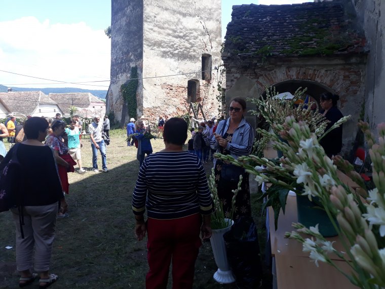 Tubarózsával virágoztatnák fel Holdvilágot – Sokan kedvet kaptak a kertészkedéshez a Szeben megyei faluban