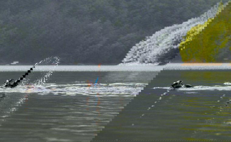 Jótékony céllal csobbannak: a kolozsvári Szénási Zoltán és Katona Alpár tavakban ússza le a támogatók által megvásárolt távot