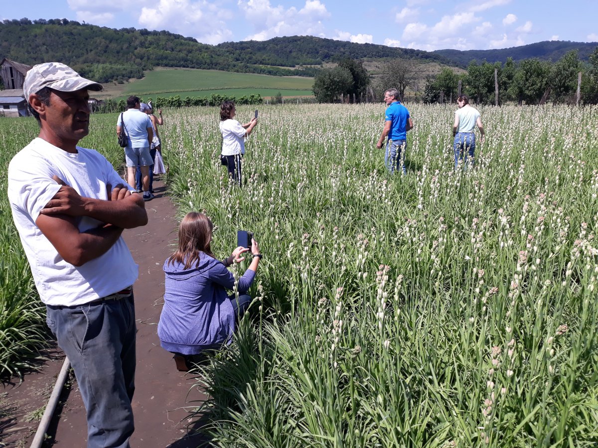 •  Fotó: Szucher Ervin