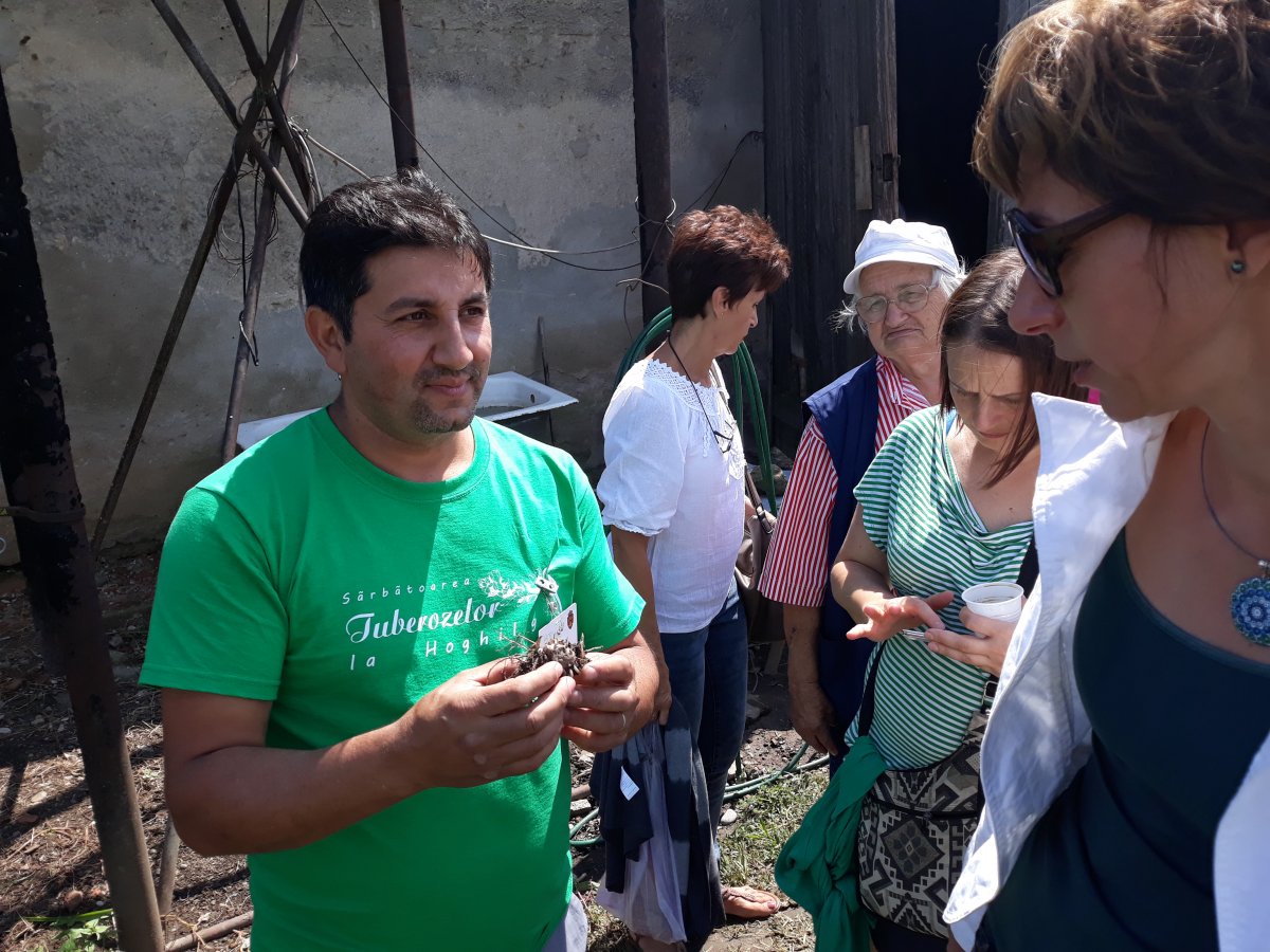 •  Fotó: Szucher Ervin