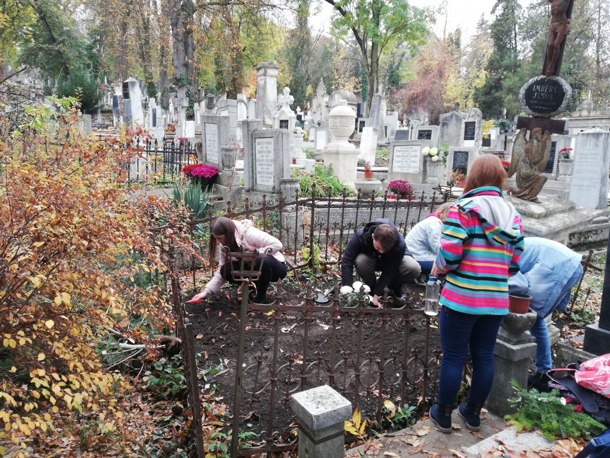 Ki sem látszott a bozótból a sír &bullet;  Fotó: Pap Melinda