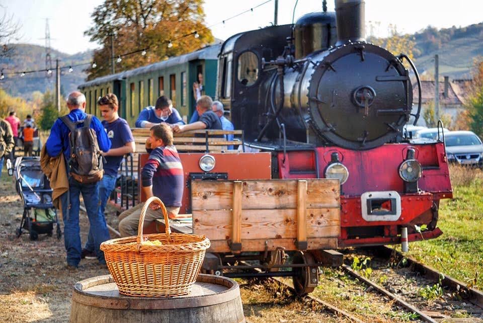 Belevágtak. Lendíteni próbálnak a turizmuson Teke és Komlód között &bullet;  Fotó: Szucher Ervin