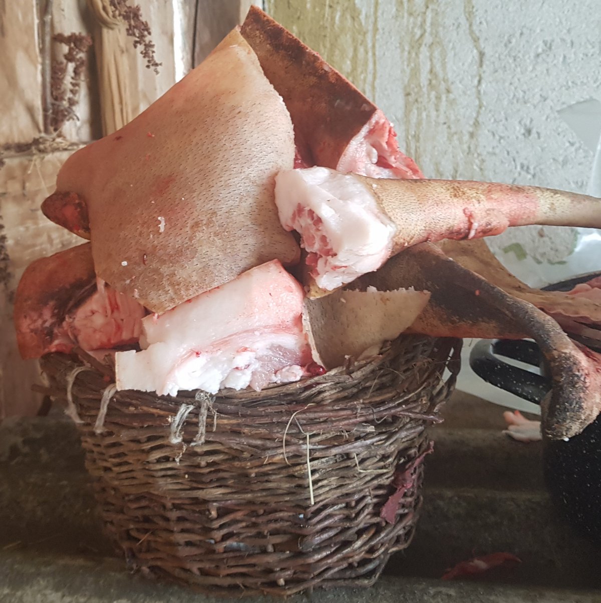 Kocsonyának való bőr füllel és farokkal •  Fotó: Makkay József