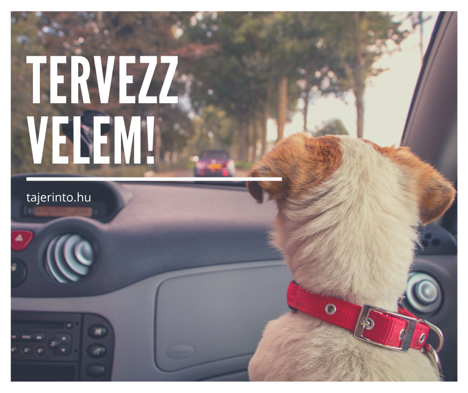 •  Fotó: Facebook/TájÉrintő
