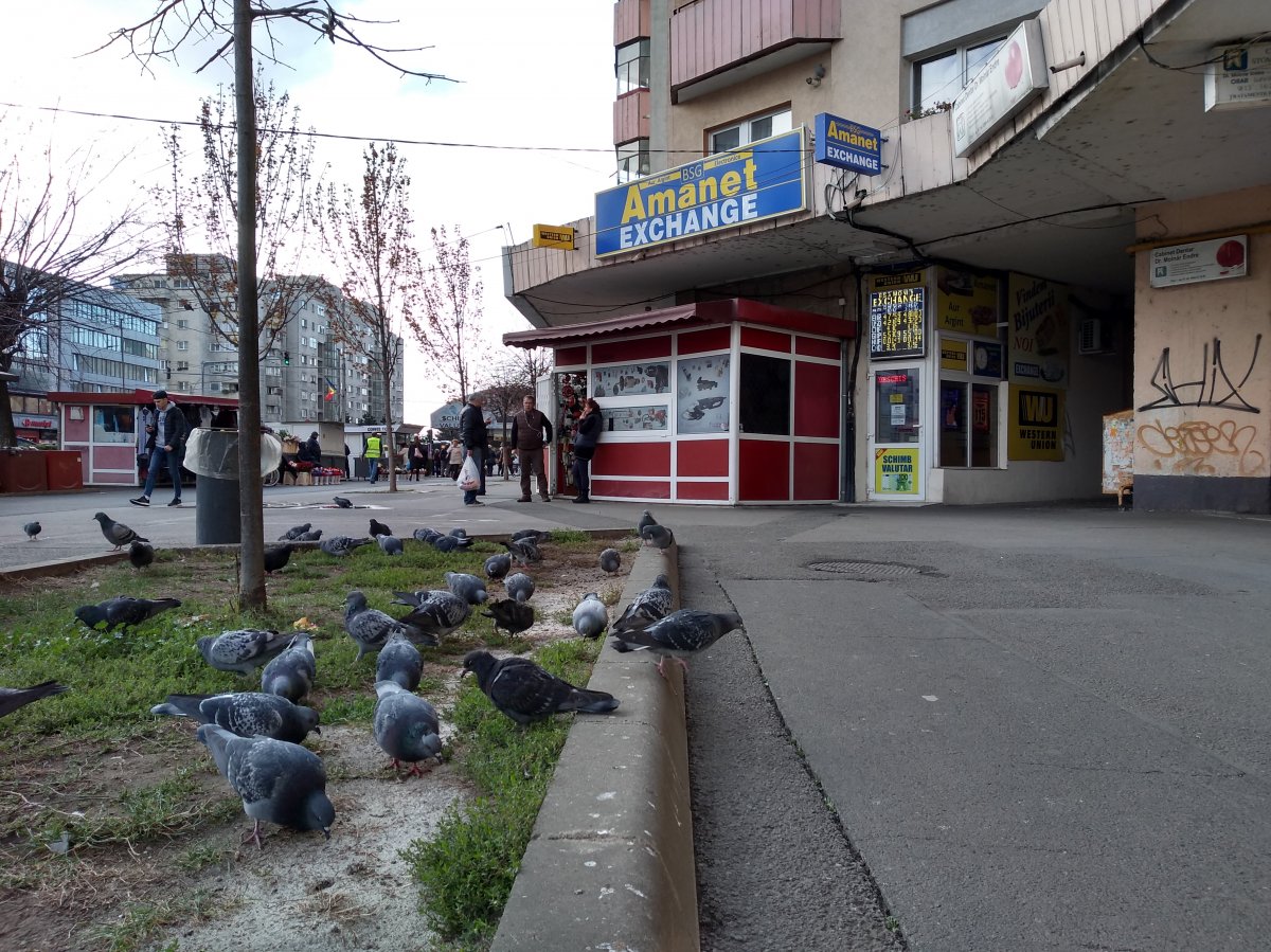 •  Fotó: Jakab Mónika
