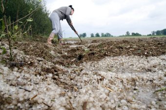 Amikor kőeső pusztította a csíki tájakat