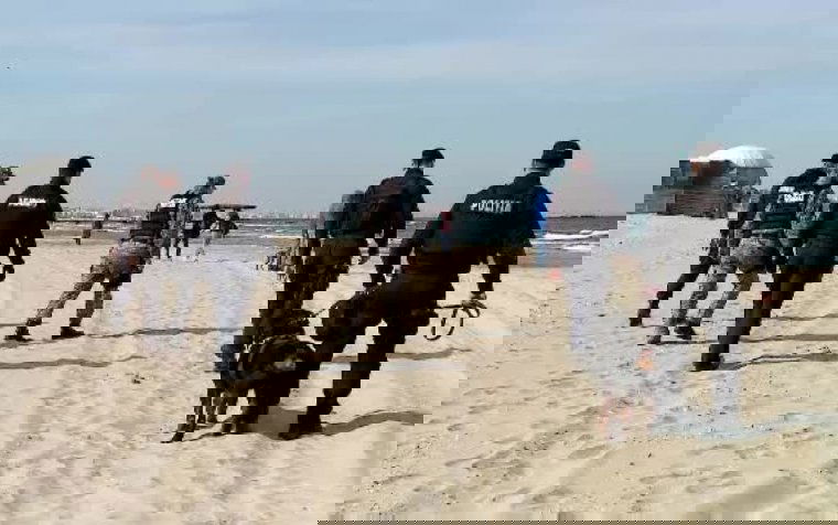 Újabb kábítószeres csomagokat találtak a román tengerparton, már 131 kilogramm kokaint foglaltak le