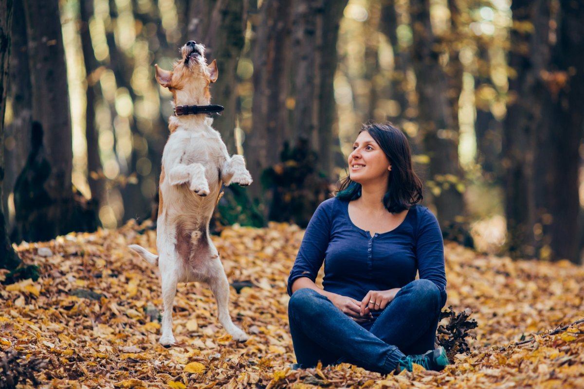 Felemelő „gazdiszeretet”. Angyalosi Beáta az utcára kidobva találta meg saját kutyáját, Fickót 