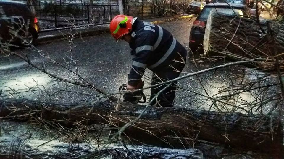 •  Fotó: Facebook/ ISU Bucuresti-Ilfov