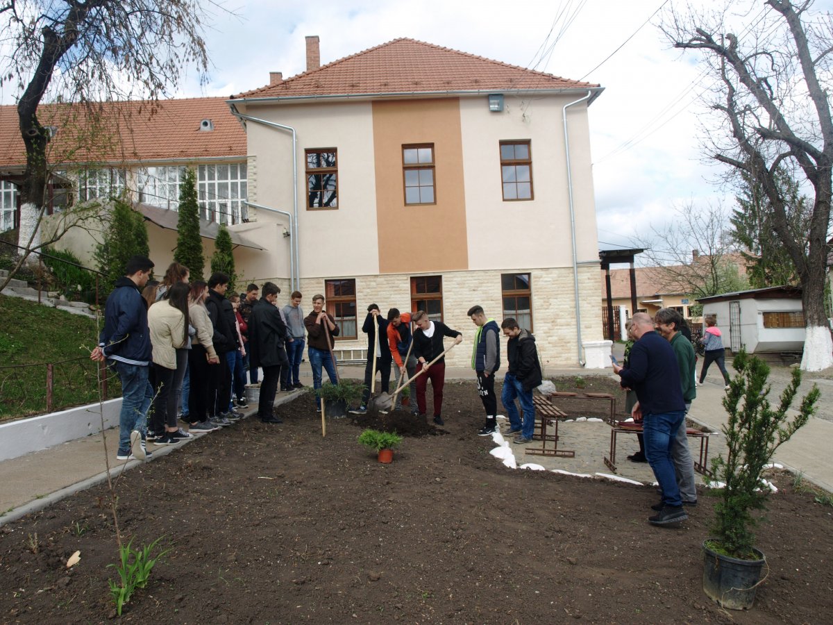 Magnóliát, örökzöld faféléket ültettek a település iskolájának udvarán &bullet;  Fotó: Silvanus Ökológiai Egyesület