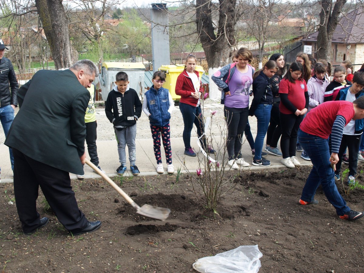 Póka András Györgykalotaszentkirályi polgármester segít az ültetésben &bullet;  Fotó: Silvanus Ökológiai Egyesület