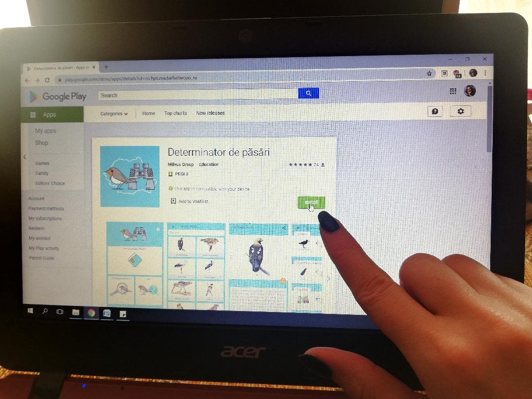 Egy kattintással. A madárhatározó alkalmazást bárki könnyedén letöltheti és telepítheti a Google Playről •  Fotó: Bede Laura