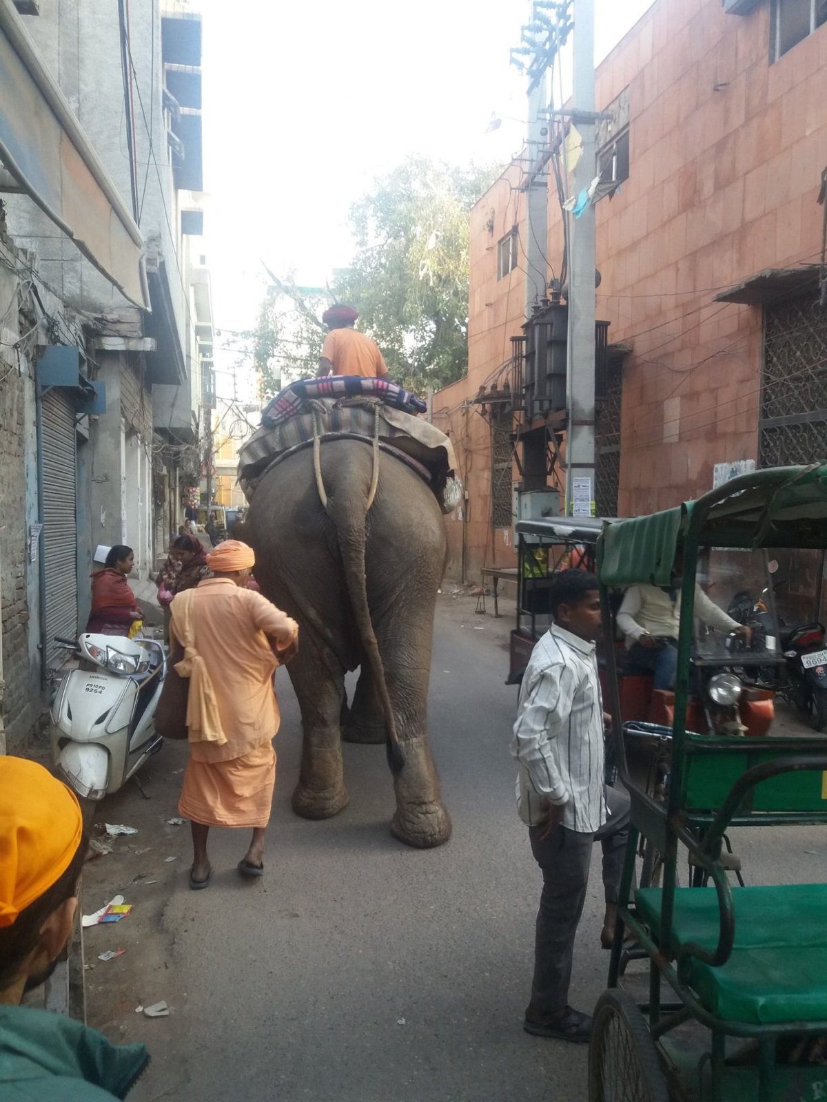 Utcakép elefánttal •  Fotó: Facebook/The Kőrösi Project - From Transylvania to Ladakh