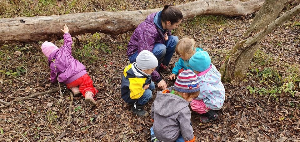 &bullet;  Fotó: PeterPan Forest Kids