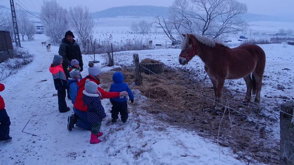 &bullet;  Fotó: PeterPan Forest Kids