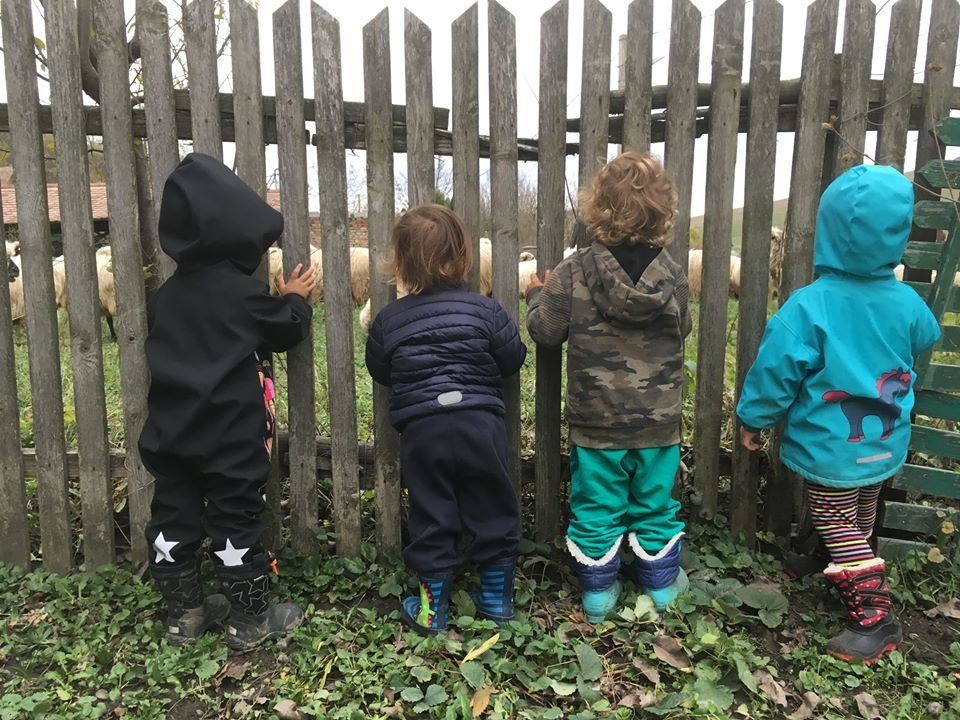 &bullet;  Fotó: PeterPan Forest Kids