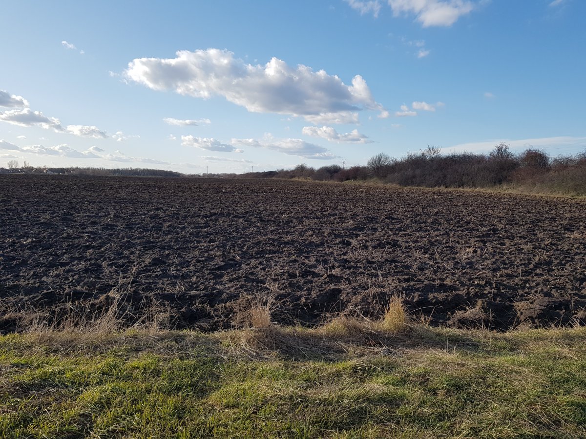 Felszántott közbirtokossági legelő &bullet;  Fotó: Makkay József