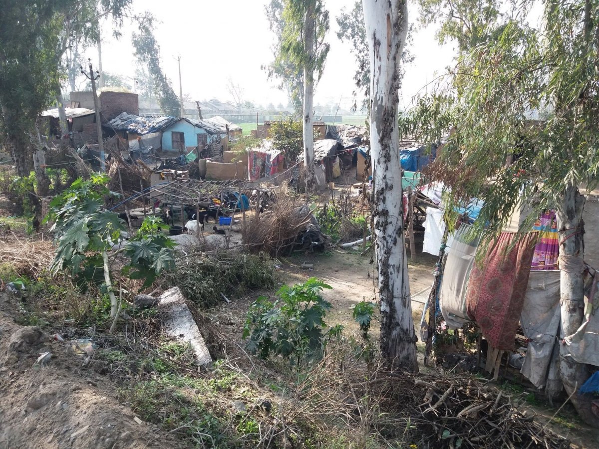 Indiai életkép •  Fotó: Facebook/The Kőrösi Project - From Transylvania to Ladakh