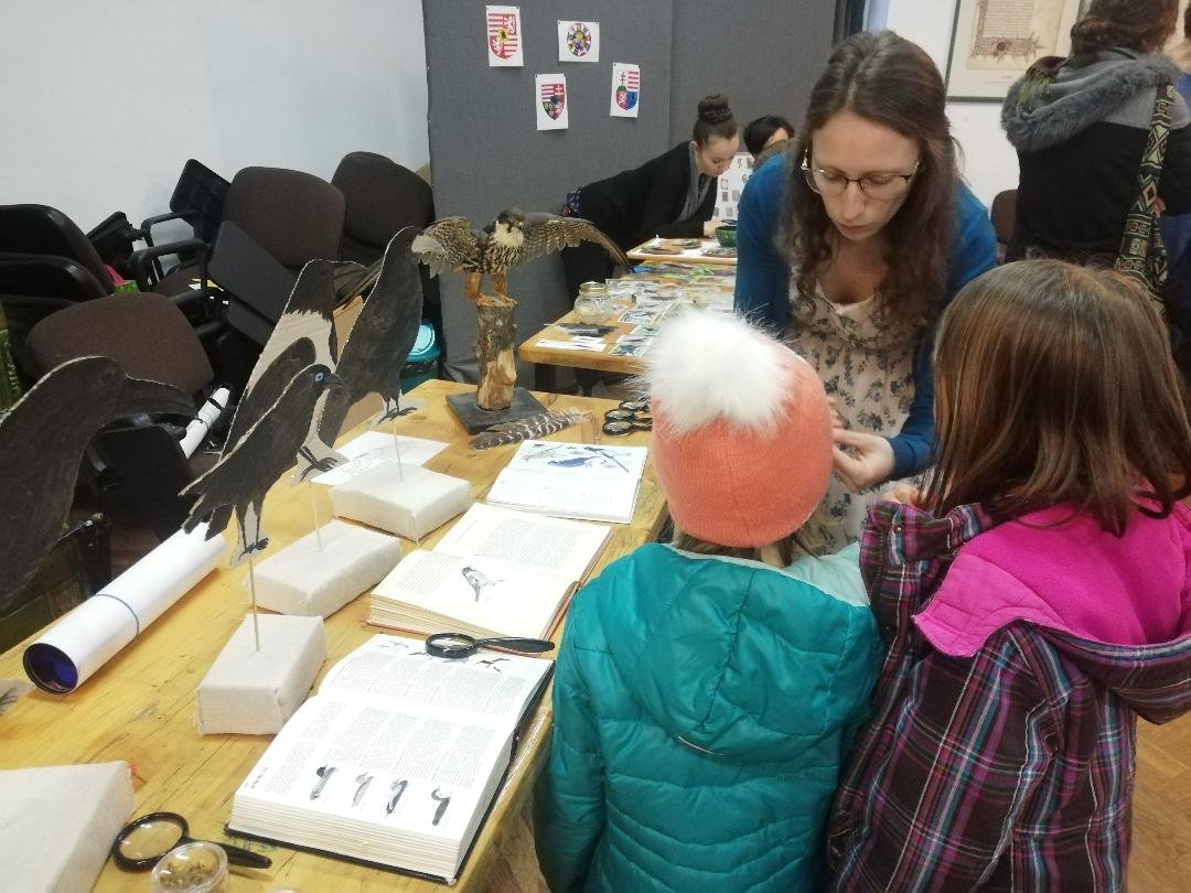 Nagy érdeklődés övezte az interaktív természetismereti foglalkozást •  Fotó: Bede Laura