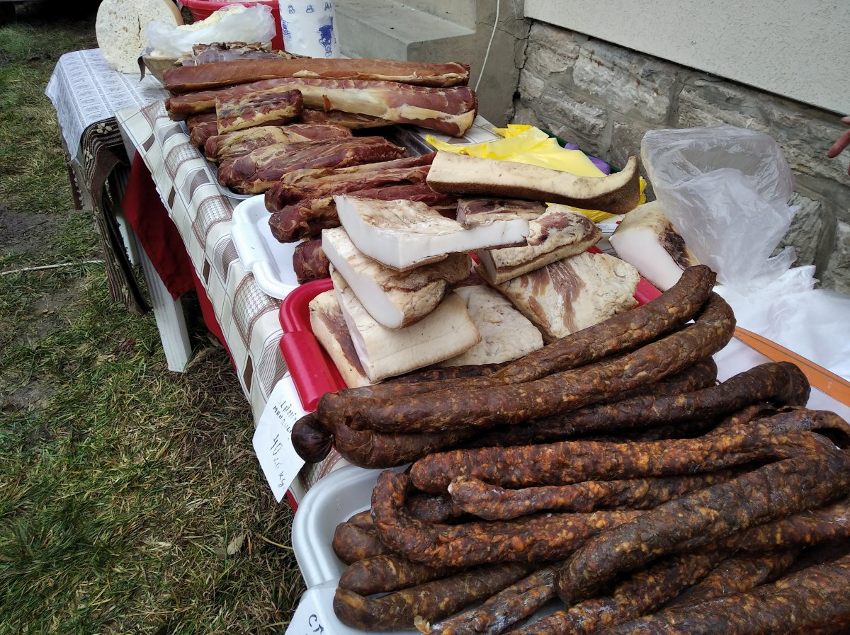 •  Fotó: Szabó Csaba