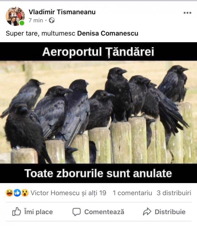 Amerikai egyeteménél is „bemártják” Asztalosék a varjas-rasszista fotót posztoló Tismăneanut