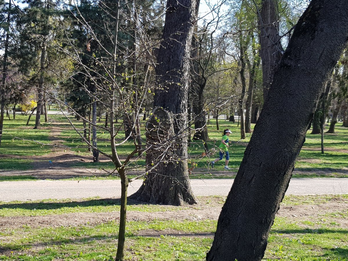 Kocogó a Séta téri parkban &bullet;  Fotó: Rostás Szabolcs