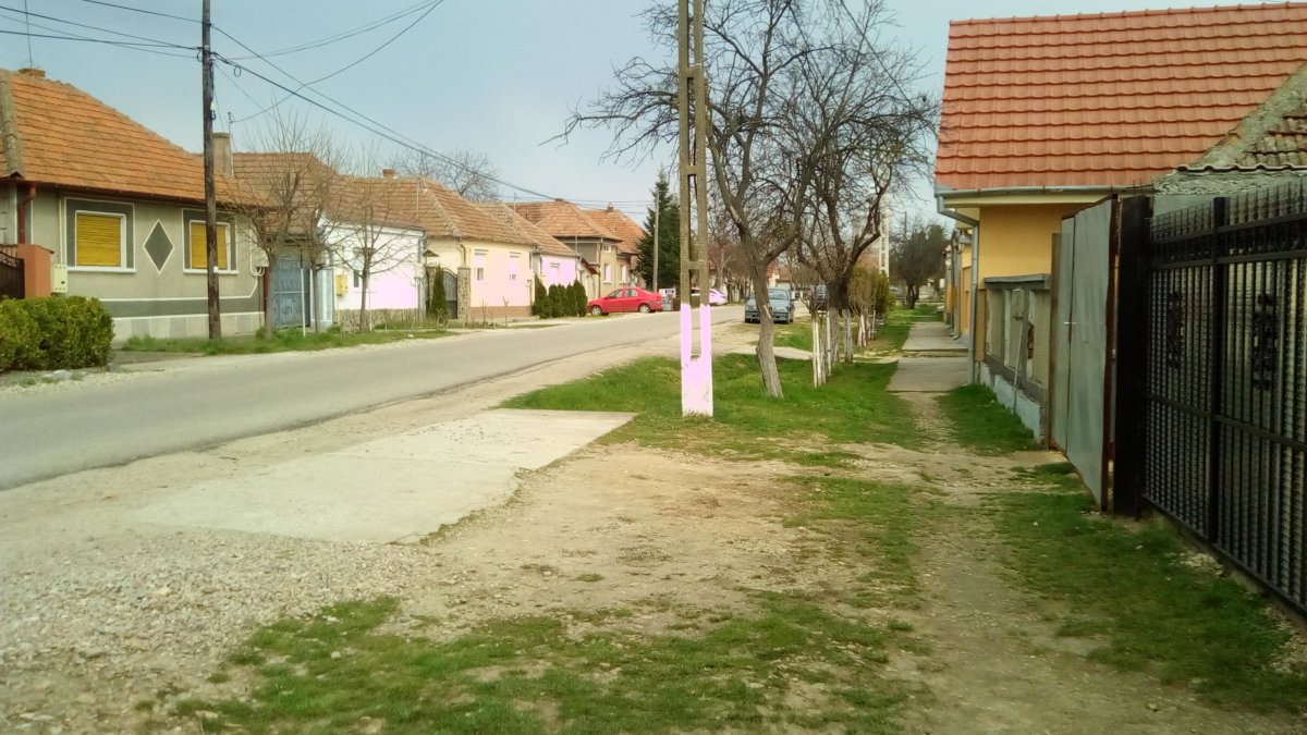 Biharszentandráson már nyugisabb az élet &bullet;  Fotó: Vásárhelyi-Nyemec Réka