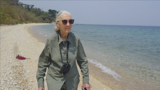 Jane Goodall híres etológus, természetvédő •  Fotó: port.hu
