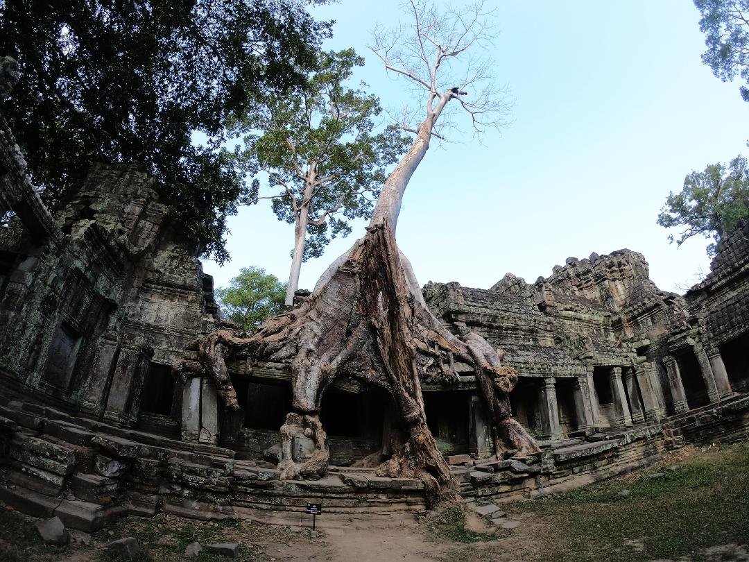 •  Fotó: Csomor Cecília