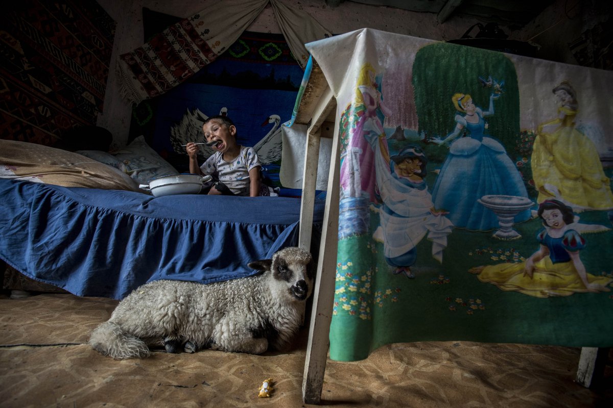 •  Fotó: Hajdú D. András