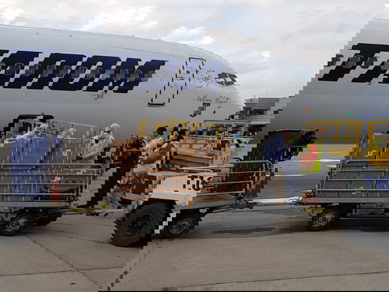 Egy repülőnyi védőfelszerelés érkezett Kolozs megyébe Shanghaiból