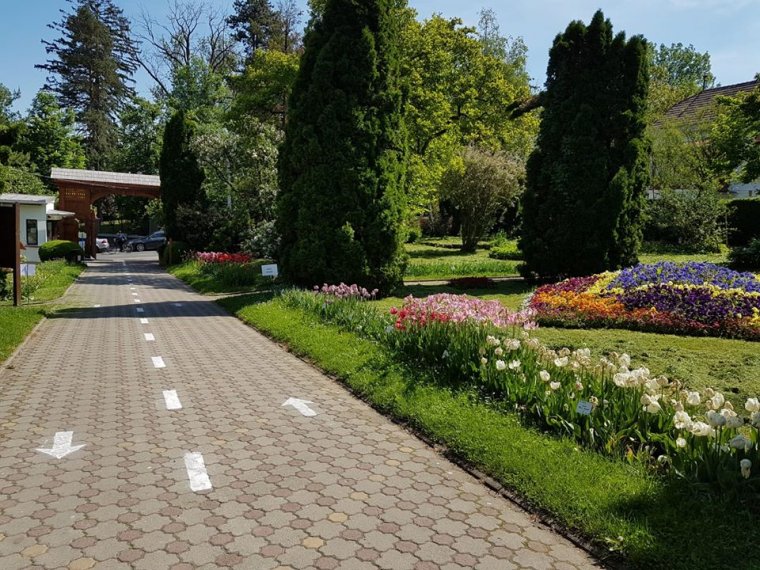 Látogatható a kolozsvári sport- és zöldövezet a járványügyi előírások betartásával