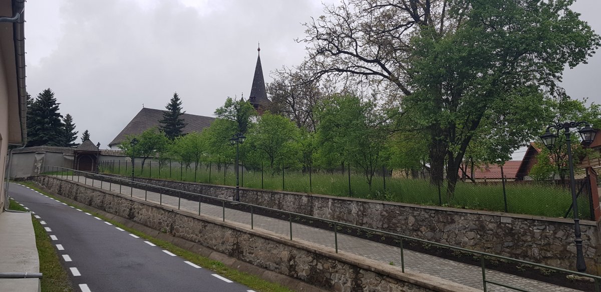 A templomhoz vezető út •  Fotó: Makkay József