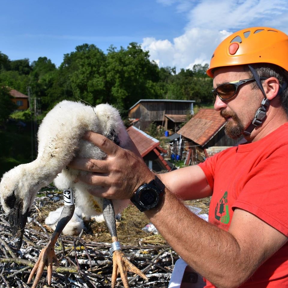 Szabó D. Zoltán szerint fontos odafigyelni a madarakra •  Fotó: Gazda Árpád