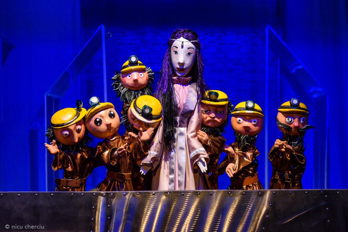 •  Fotó: Nicu Cherciu