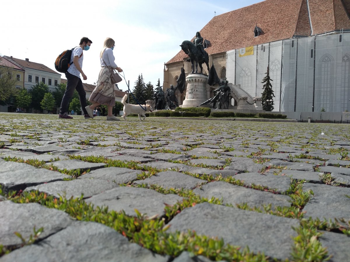 Szebb is lehet. A foltosodás természetes folyamat része, egy nap alatt kijavítható &bullet;  Fotó: Jakab Mónika