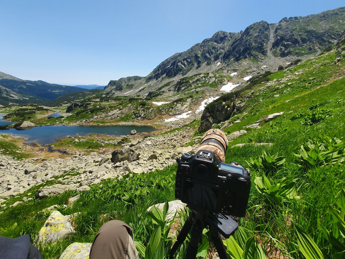 A projekt egyik célja felhívni a figyelmet a Retyezát Nemzeti Park különleges növény- és állatvilágára •  Fotó: Forrás: a stáb fotóarchívuma