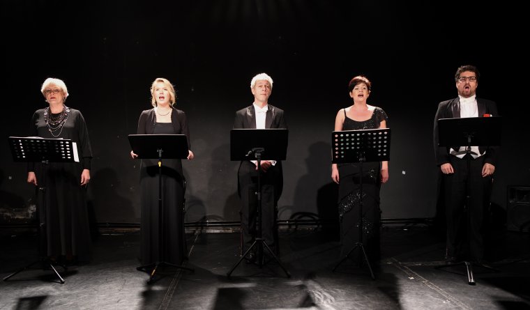 Paravarieté: szabadtéri színházi előadás Szatmáron