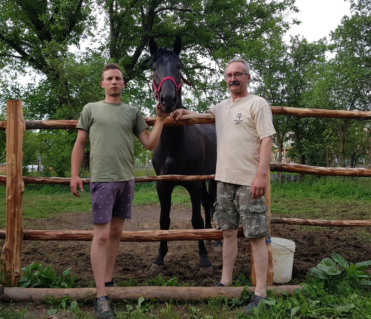 Bárdos Bence és Csaba az apaállattal magyarfenesi kertjükben &bullet;  Fotó: Makkay József