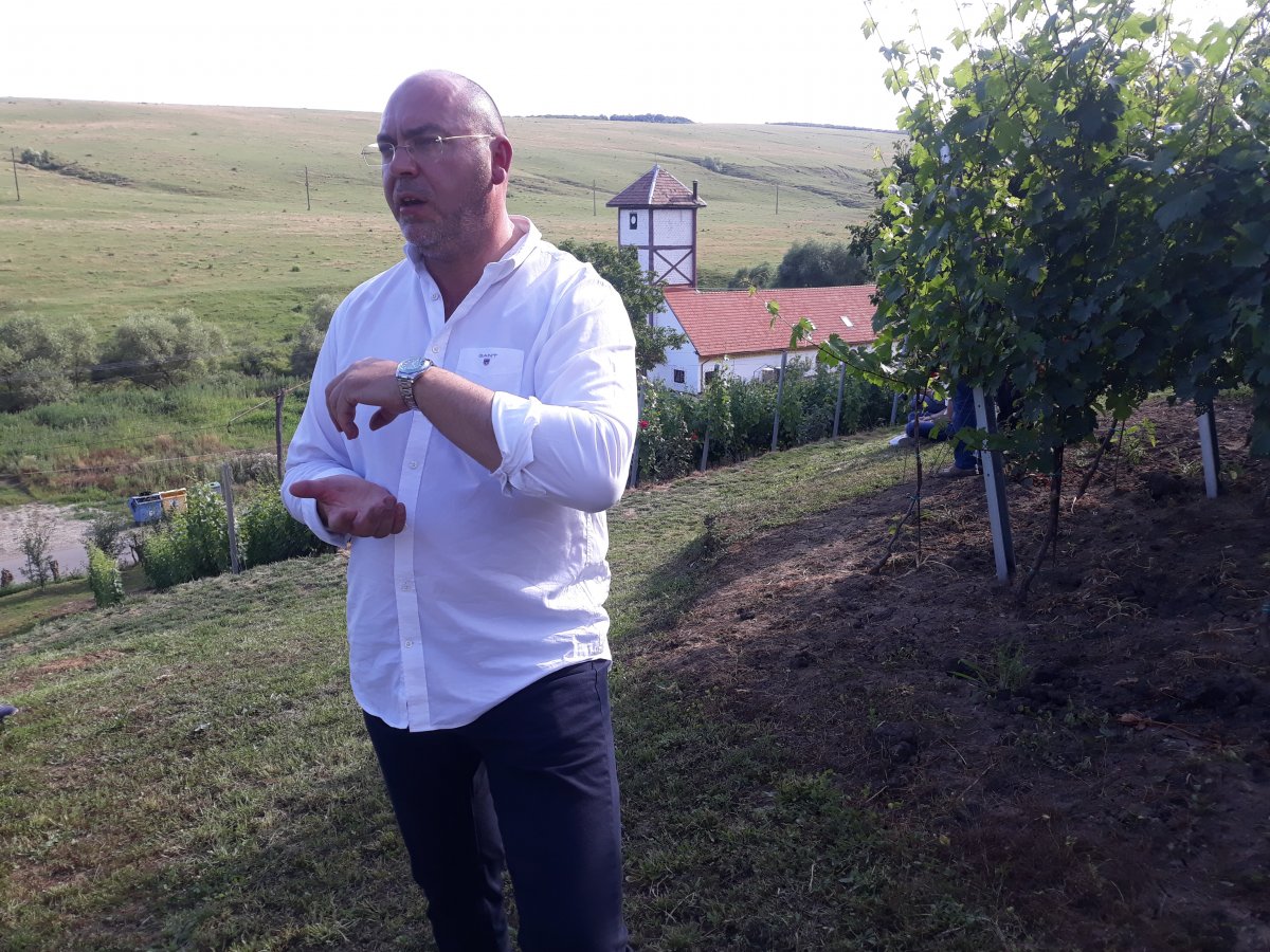 Vasile Costea, a hagyomány újjáélesztője. Lerobbant szövetkezeti raktárból korszerű borpince •  Fotó: Szucher Ervin